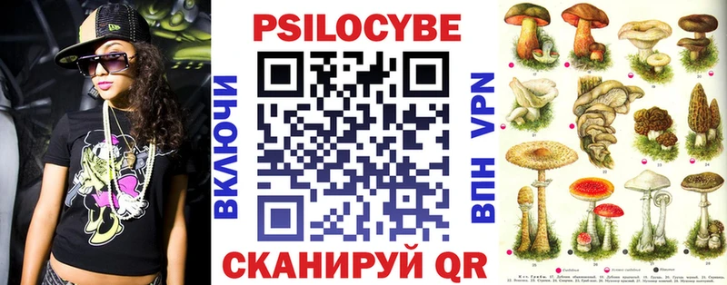 KRAKEN онион  Нефтегорск  Псилоцибиновые грибы Cubensis 